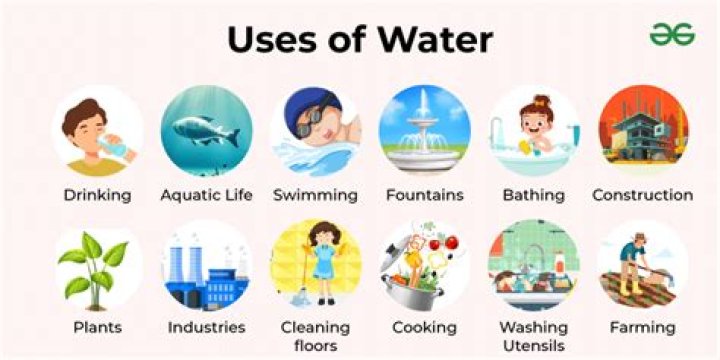 Agua Quiero Agua: The Importance of Water in Our Lives