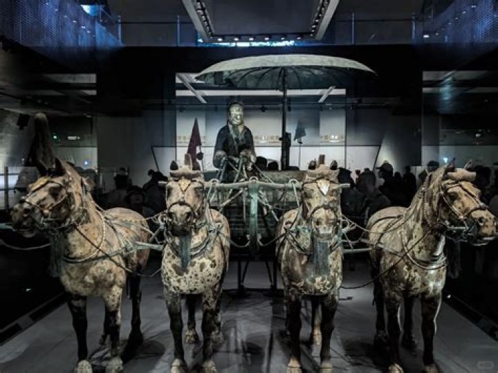 Christopher Reeve and His Passion for Horses: A Journey of Inspiration