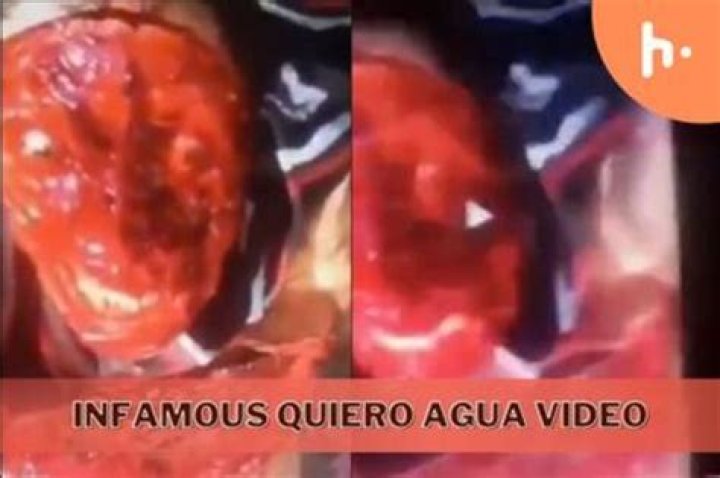 Exploring the Chilling World of "Quiero Agua" Gore Videos