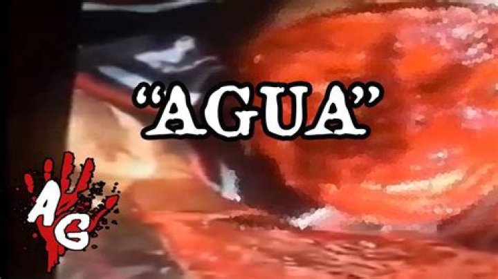 Exploring the Infamous "Gore Quiero Agua" Videos: A Deep Dive