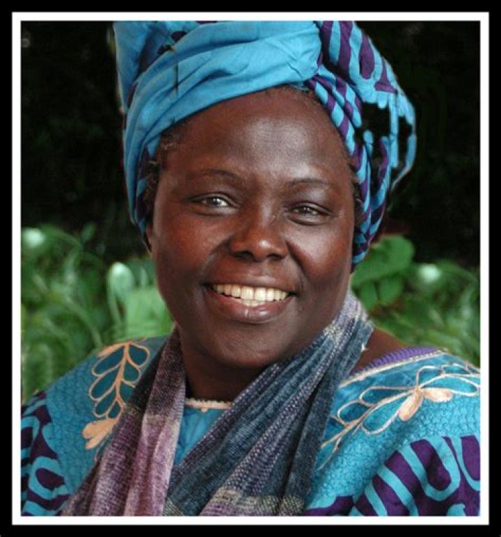 Exploring the Life and Achievements of Alphina Kamara