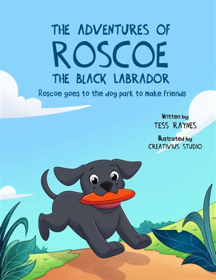 Fabio and the Goose: A Heartwarming Tale of Friendship and Adventure