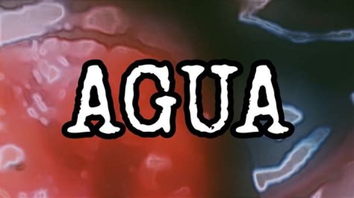 Gore Quiero Agua: Understanding Water's Role in Our Lives