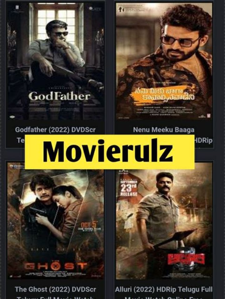 Movierulz Today 2024: Download Movies Safely and Legally