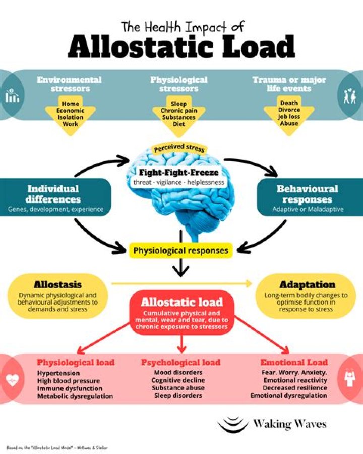 Quiero Agua: The Importance of Hydration and Its Impact on Health