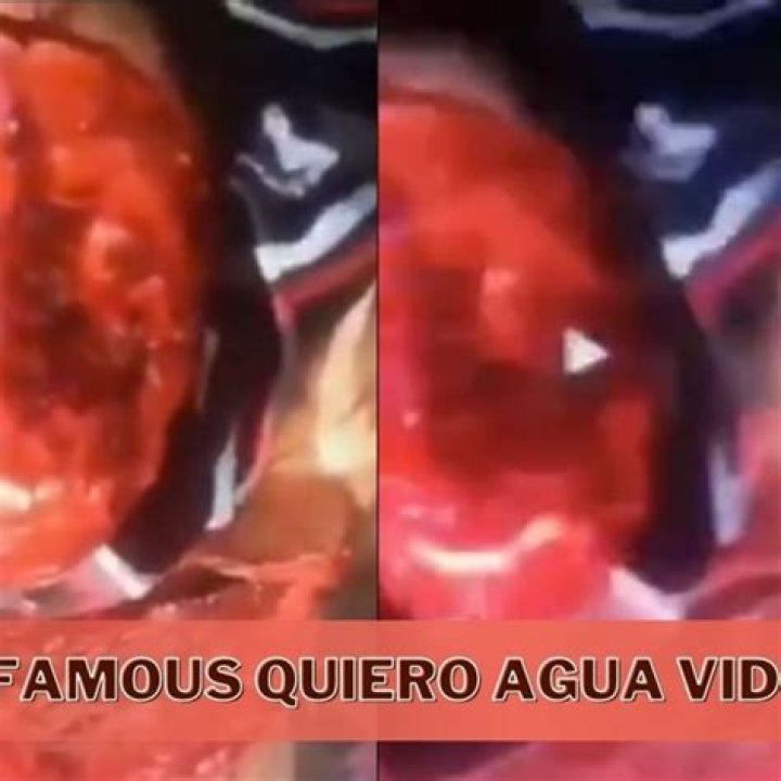Quiero Agua: The Original Video That Captivated Millions