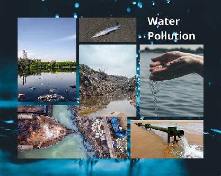 Quiero Agua YouTube: Exploring the Impact of Water Conservation on Digital Platforms