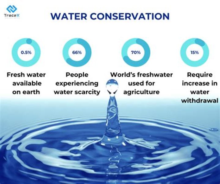 Quieroagua: The Ultimate Guide to Water Conservation and Sustainability