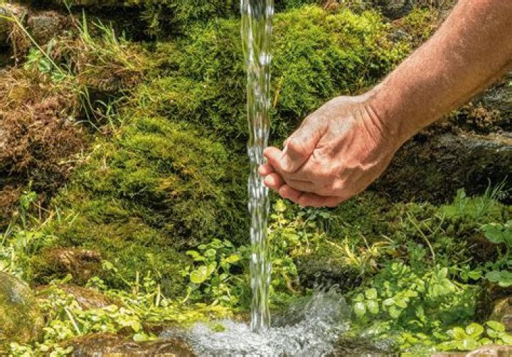 Quire Agua Original: The Ultimate Guide to Natural Water