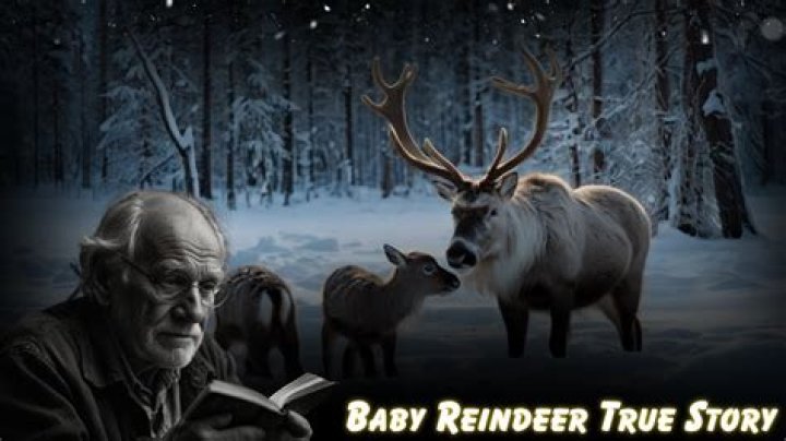 Reindeer True Story: The Heartwarming Journey of a Beloved Animal