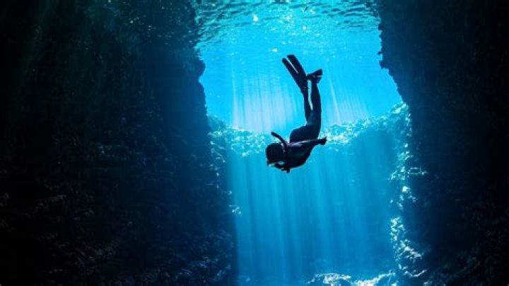Rina Under the Bridge: A Deep Dive into Her Journey and Impact