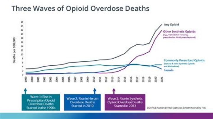 The Euphoria Deaths: Understanding the Impact and Consequences